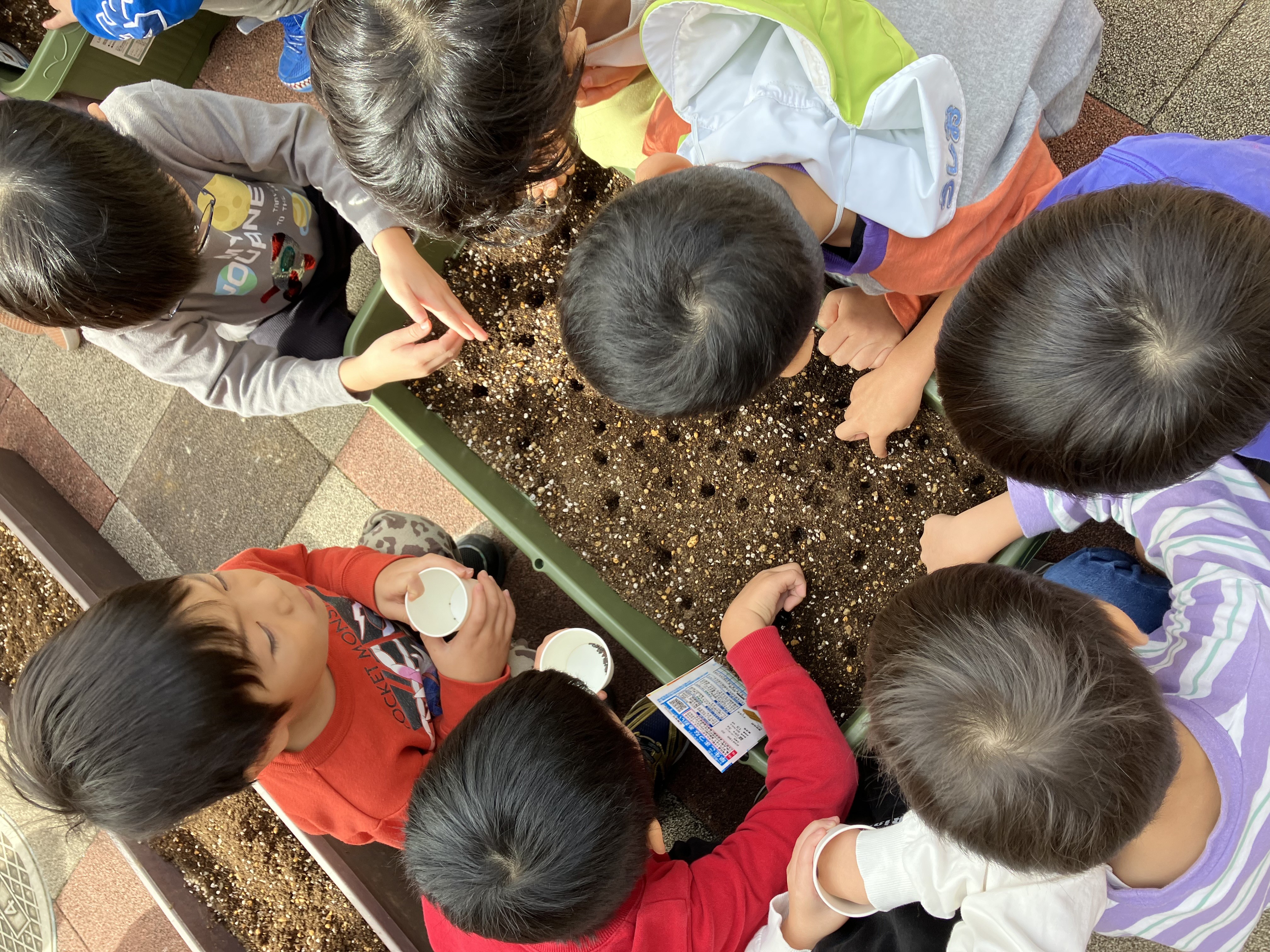 幼児クラス秋冬の栽培開始！！