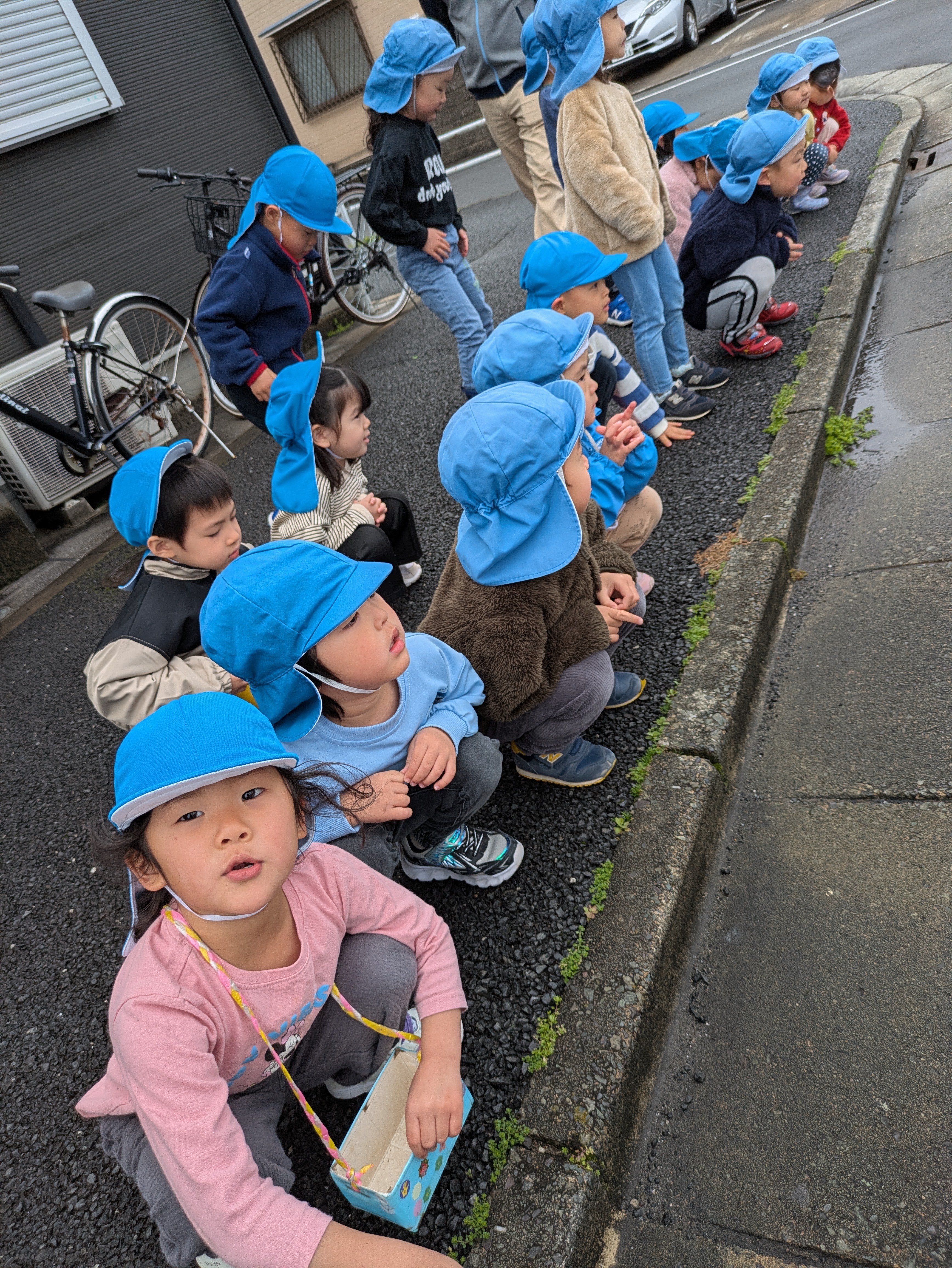 雨上がりの散歩
