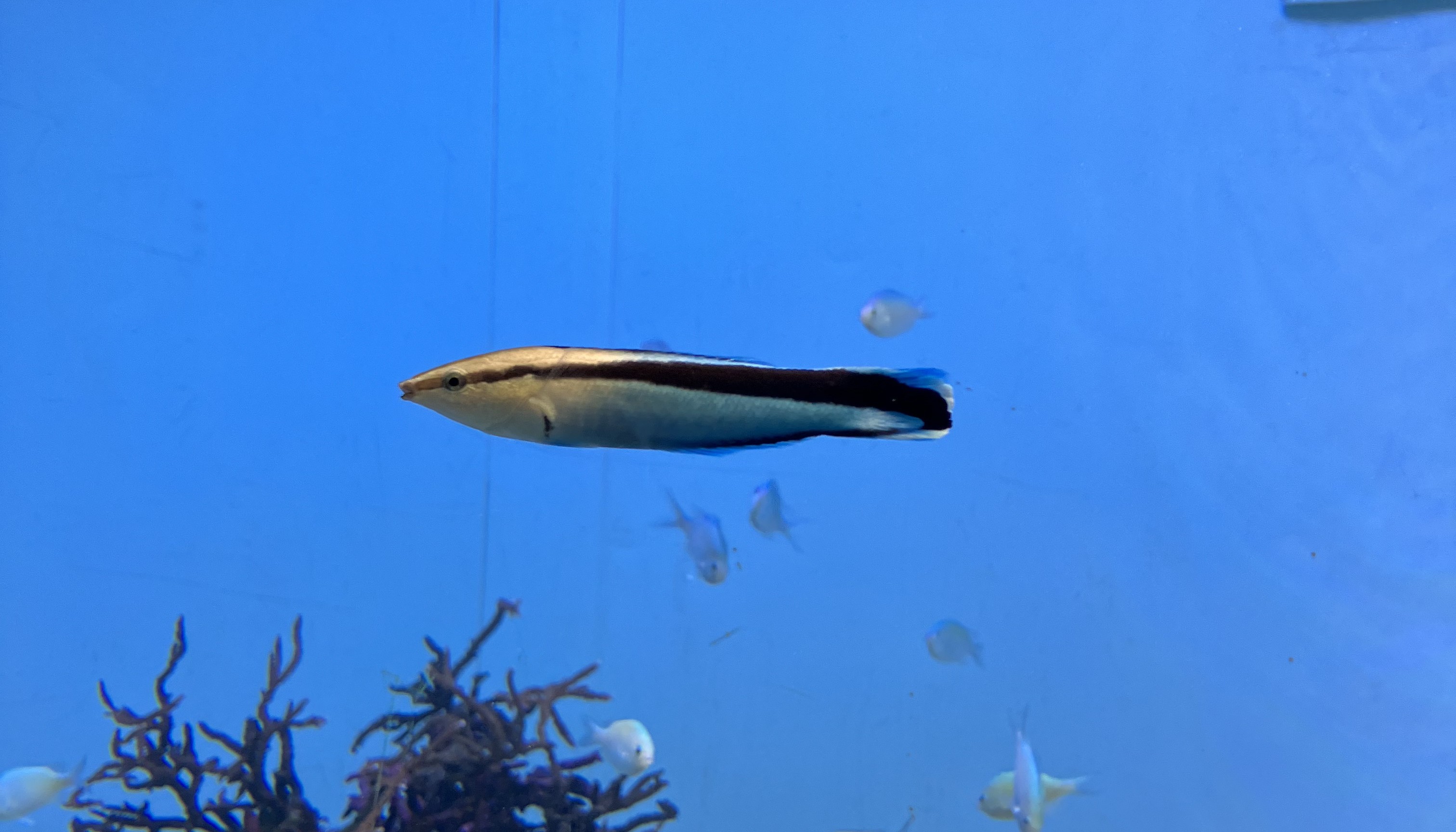 だいち組　お別れ遠足