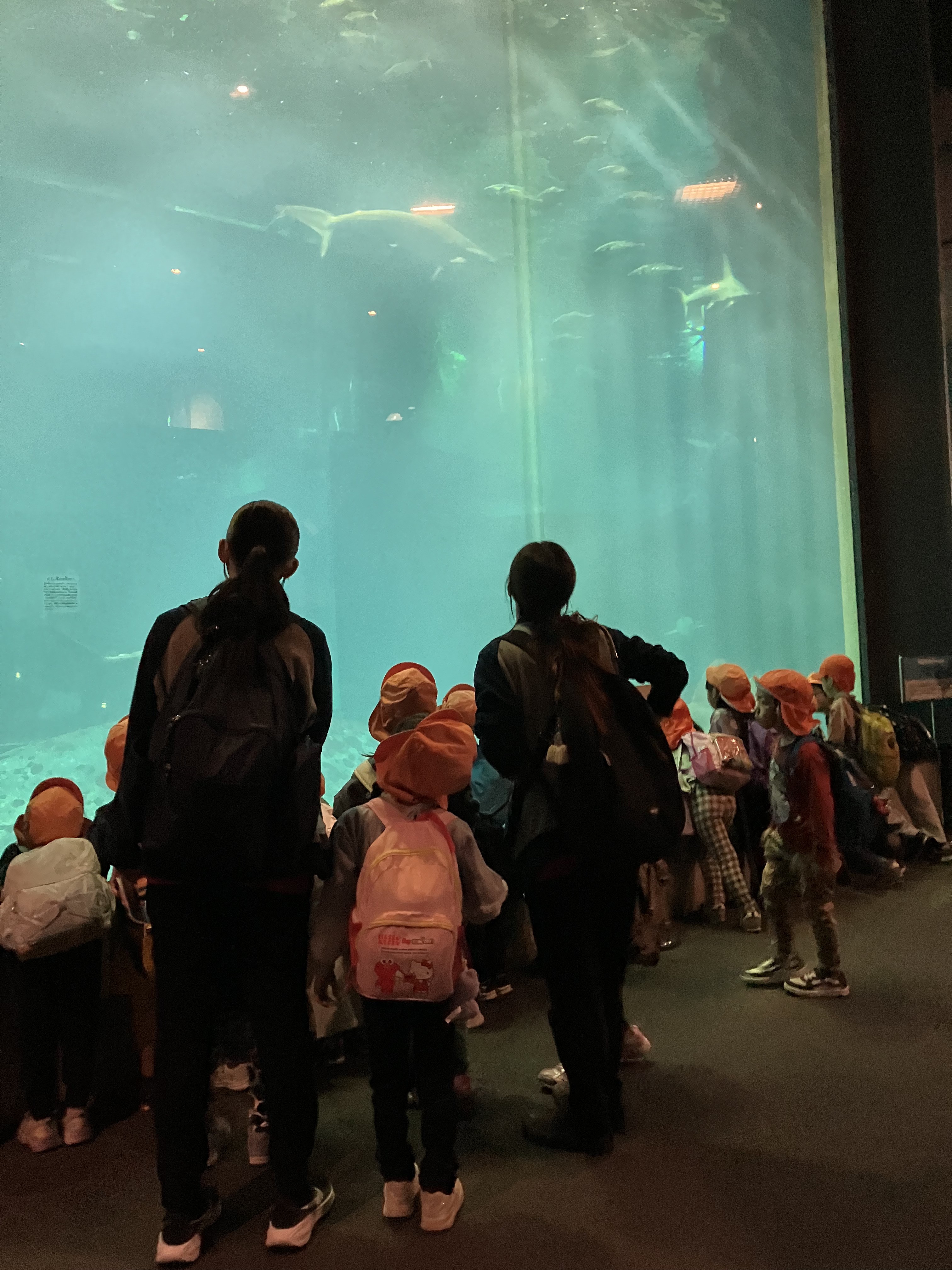 だいち組　お別れ遠足