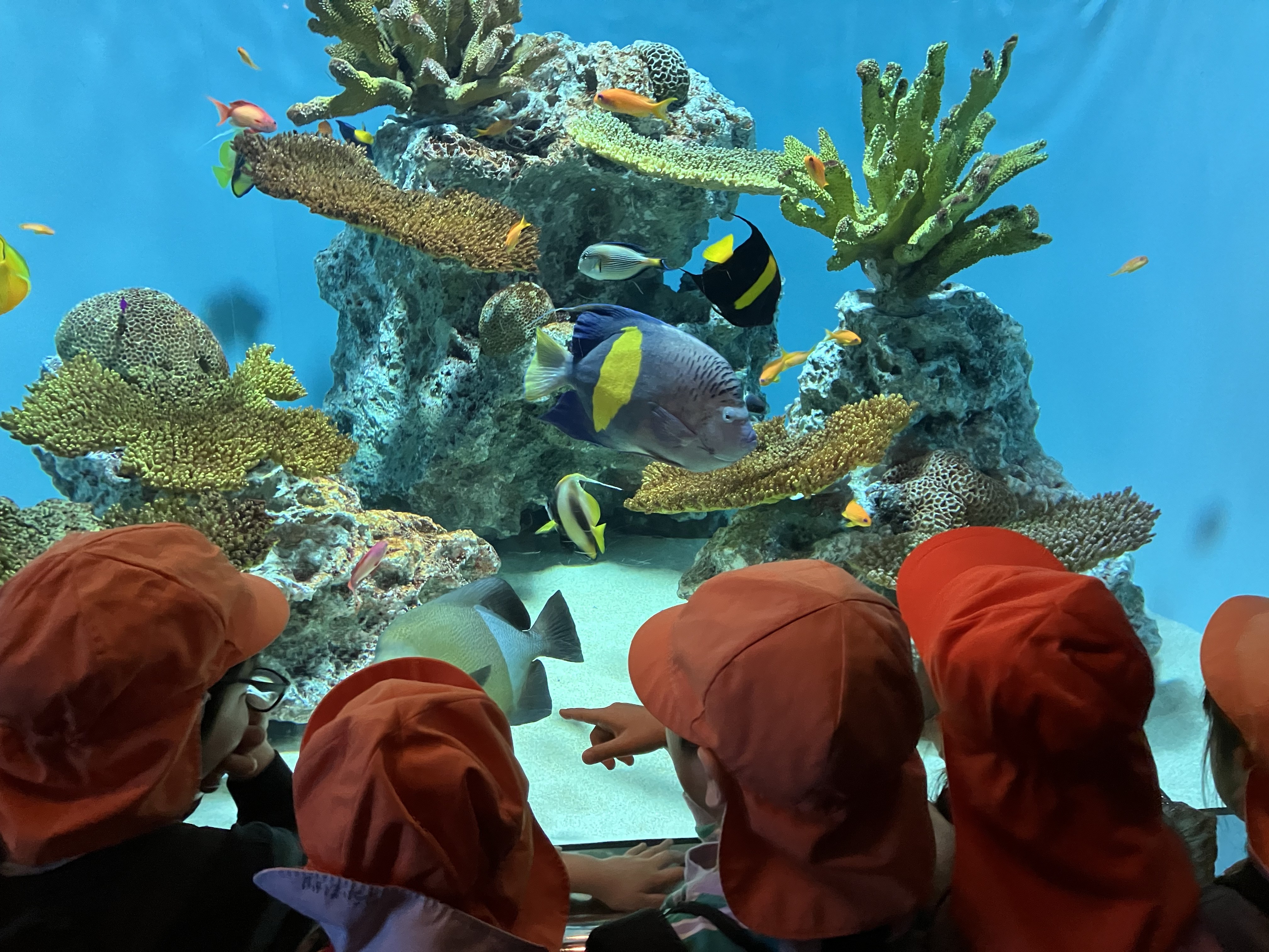 だいち組　お別れ遠足