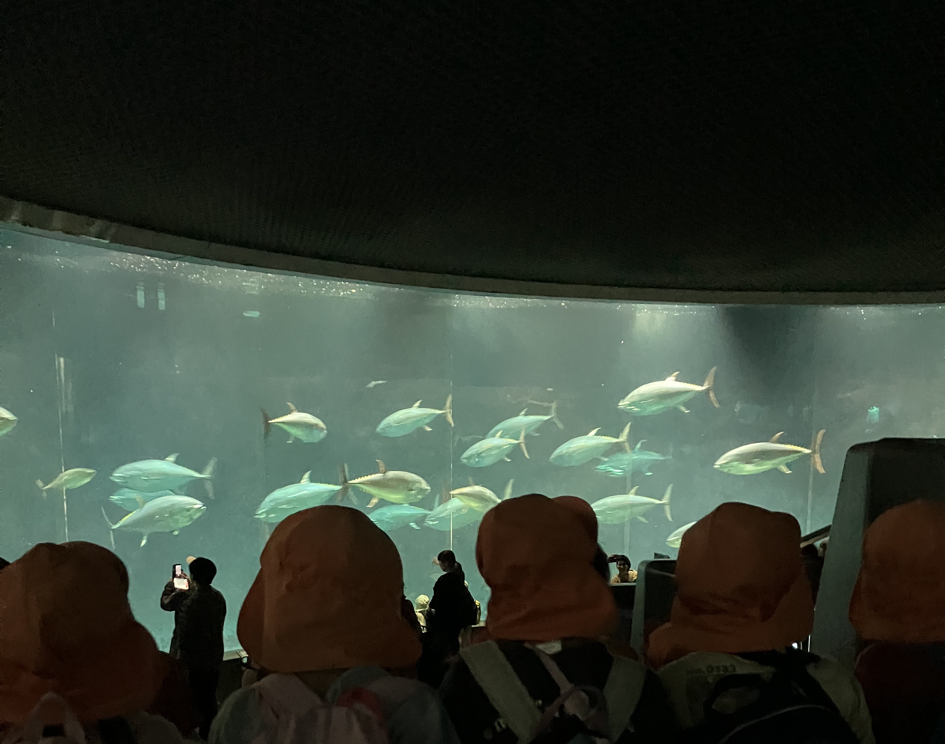 だいち組　お別れ遠足