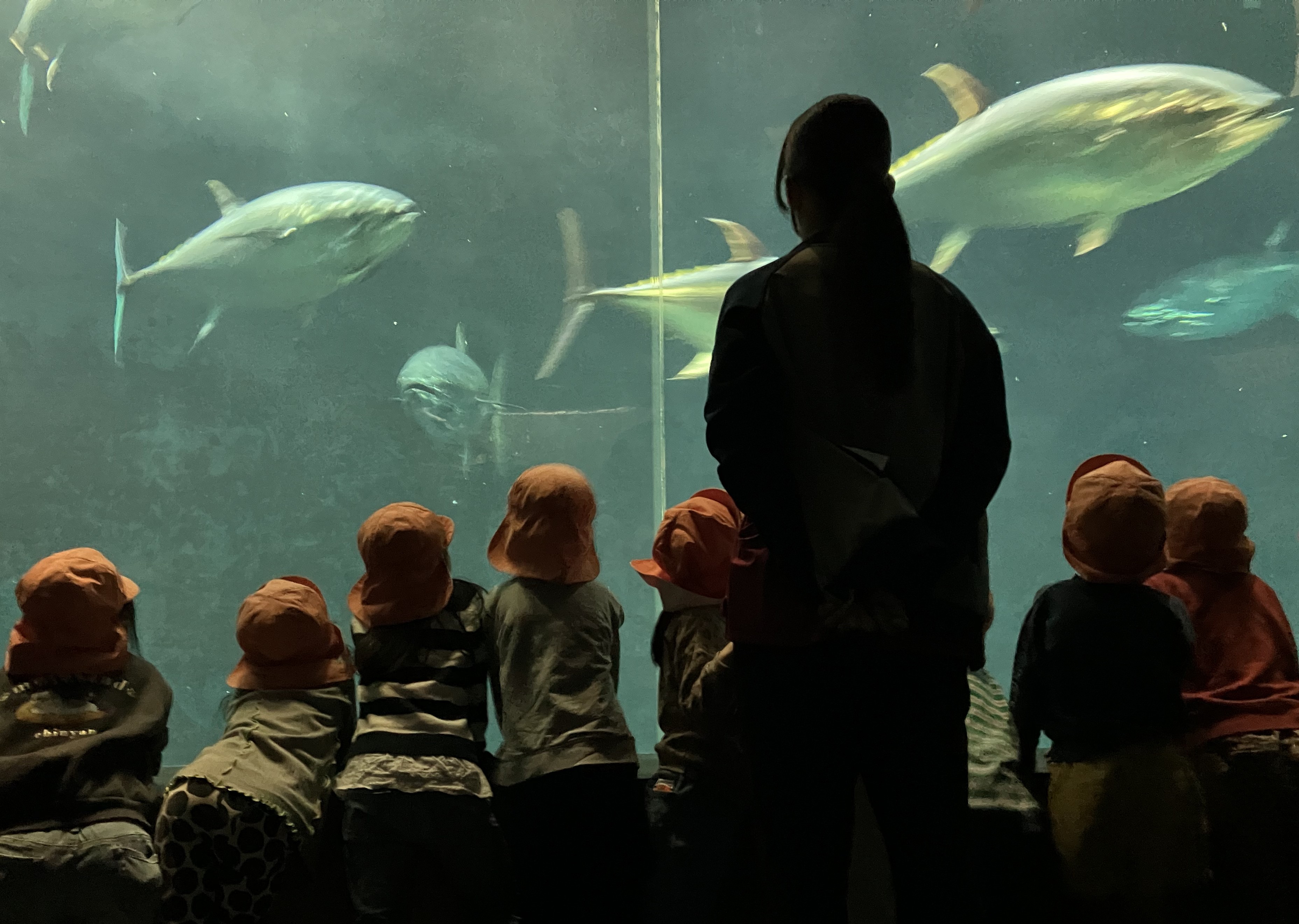 だいち組　お別れ遠足